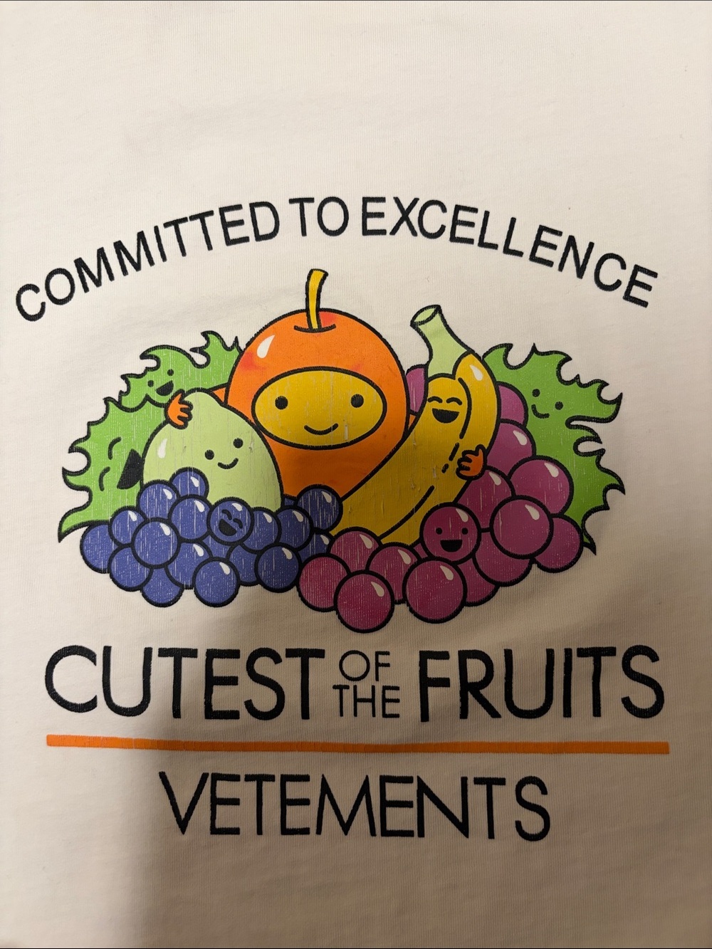 Authentic VETEMENTS "Committed to Excellence" Cutest of the Fruits Crop Top O/S - Picture 6 of 9